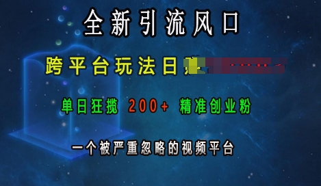 全新引流风口，跨平台玩法日入上k，单日狂揽200+精准创业粉，一个被严重忽略的视频平台-温暖资源库
