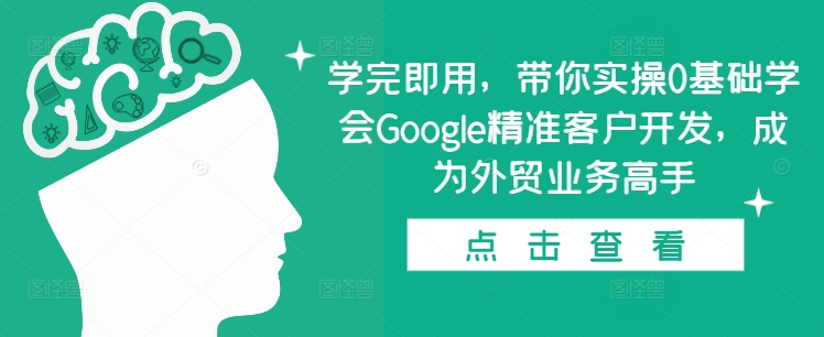 学完即用，带你实操0基础学会Google精准客户开发，成为外贸业务高手-温暖资源库