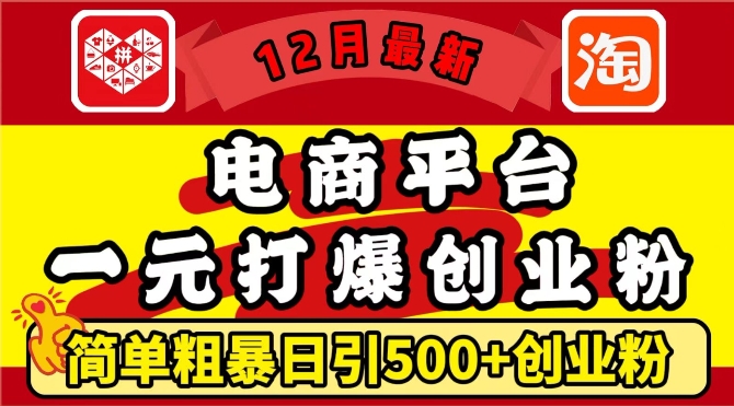 12月最新：电商平台1元打爆创业粉，简单粗暴日引500+精准创业粉，轻松月入过W【揭秘】-温暖资源库