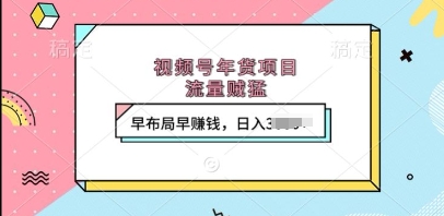 视频号年货项目，流量贼猛，早布局早挣钱，日入上k【揭秘】-温暖资源库