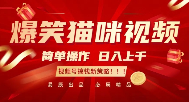 爆笑猫咪视频：简单操作，日入过K，视频号搞钱新策略【揭秘】-温暖资源库