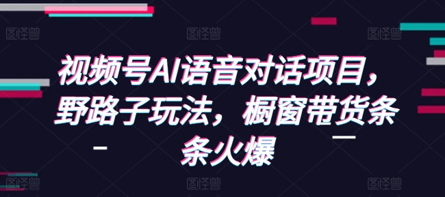 视频号AI语音对话项目，野路子玩法，橱窗带货条条火爆-温暖资源库