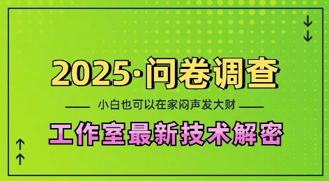 2025问卷调查最新工作室技术解密：一个人在家也可以闷声发大财，小白一天2张，可矩阵放大【揭秘】-温暖资源库