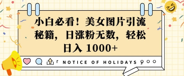 小白必看，美女图片引流秘籍，日涨粉无数，轻松日入几张【揭秘】-温暖资源库