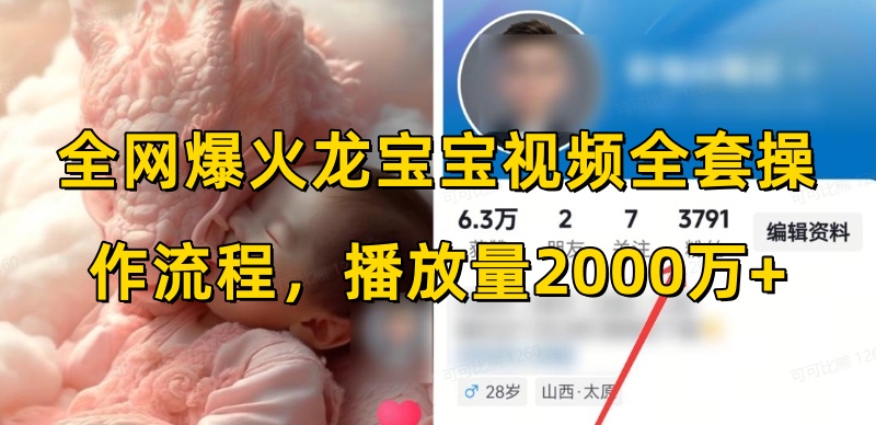 全网爆火龙宝宝视频全套操作流程，播放量2000万+-温暖资源库