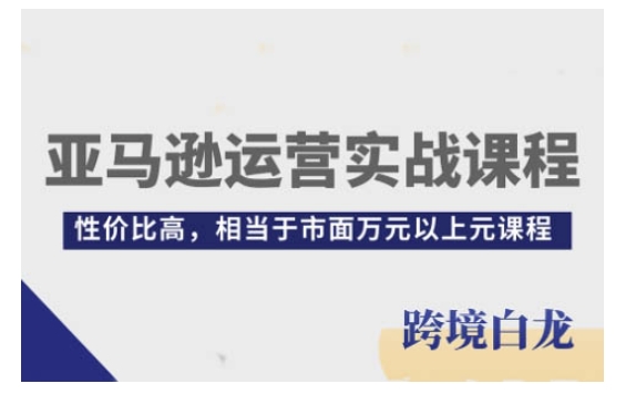 亚马逊运营实战课程，亚马逊从入门到精通，性价比高，相当于市面万元以上元课程-温暖资源库