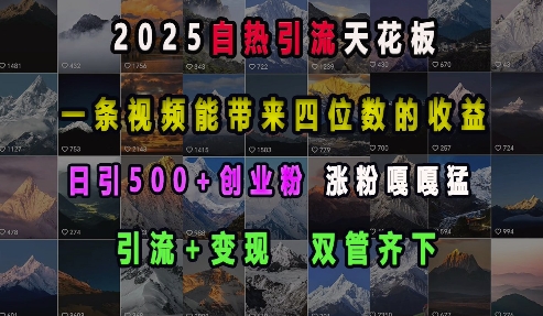 2025自热引流天花板，一条视频能带来四位数的收益，引流+变现双管齐下，日引500+创业粉，涨粉嘎嘎猛-温暖资源库