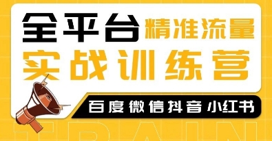 全平台精准流量实战训练营，百度微信抖音小红书SEO引流教程-温暖资源库