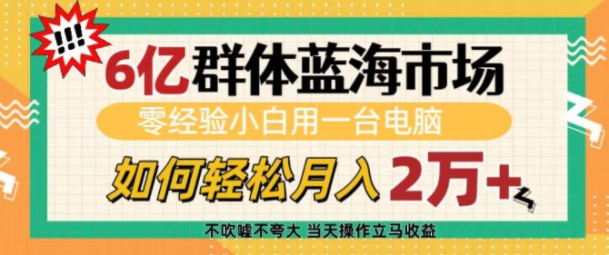 6亿群体蓝海市场，零经验小白用一台电脑，如何轻松月入过w【揭秘】-温暖资源库