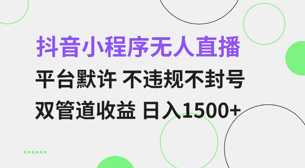 抖音小程序无人直播 平台默许 不违规不封号 双管道收益 日入多张 小白也能轻松操作【仅揭秘】-温暖资源库