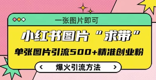 小红书图片‘求带’爆火引流法，单张图片引流500+精准创业粉【揭秘】-温暖资源库