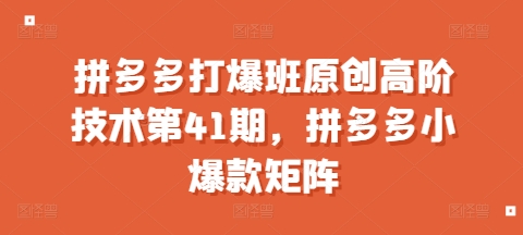 拼多多打爆班原创高阶技术第41期，拼多多小爆款矩阵-温暖资源库