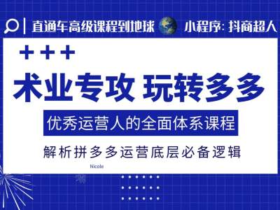 术业专攻玩转多多，优秀运营人的全面体系课程，解析拼多多运营底层必备逻辑-温暖资源库