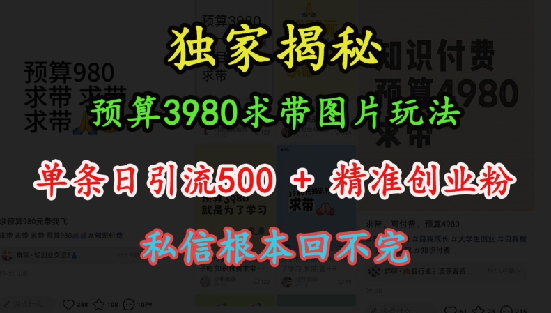 预算3980求带 图片玩法，单条日引流500+精准创业粉，私信根本回不完-温暖资源库