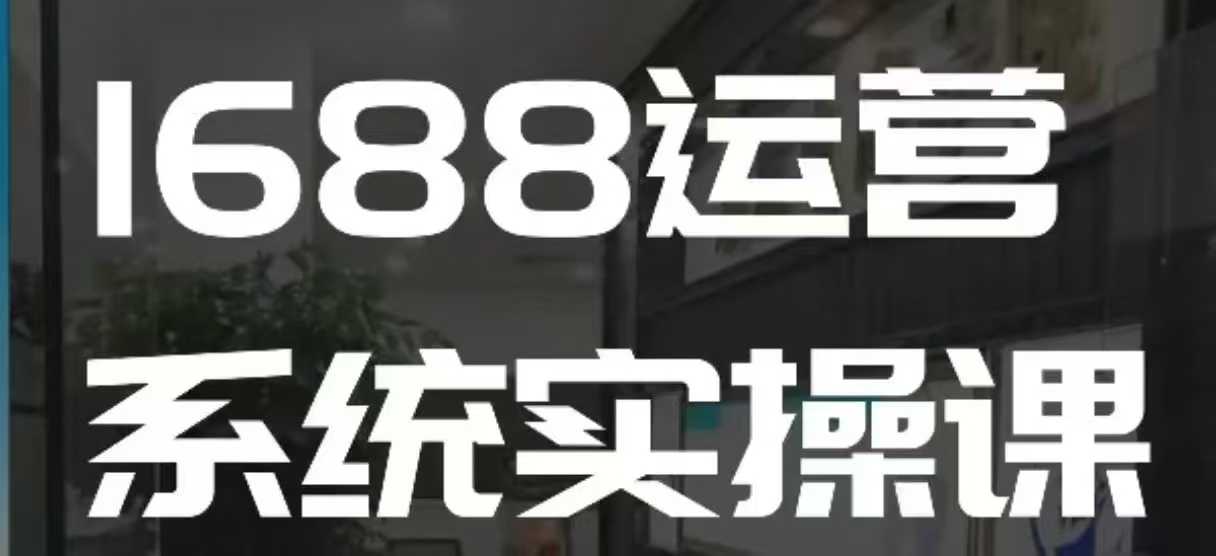 1688高阶运营系统实操课，快速掌握1688店铺运营的核心玩法-温暖资源库