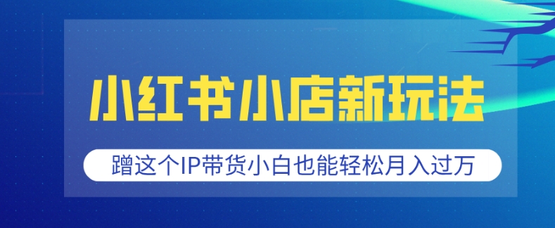 小红书小店新玩法，蹭这个IP带货，小白也能轻松月入过W【揭秘】-温暖资源库