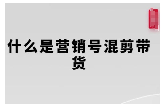 营销号混剪带货，从内容创作到流量变现的全流程，教你用营销号形式做混剪带货-温暖资源库