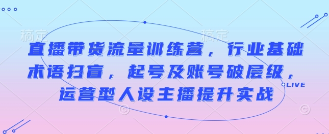 直播带货流量训练营，行业基础术语扫盲，起号及账号破层级，运营型人设主播提升实战-温暖资源库