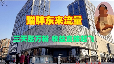 蹭胖东来流量，三天涨万粉，收益直接起飞-温暖资源库