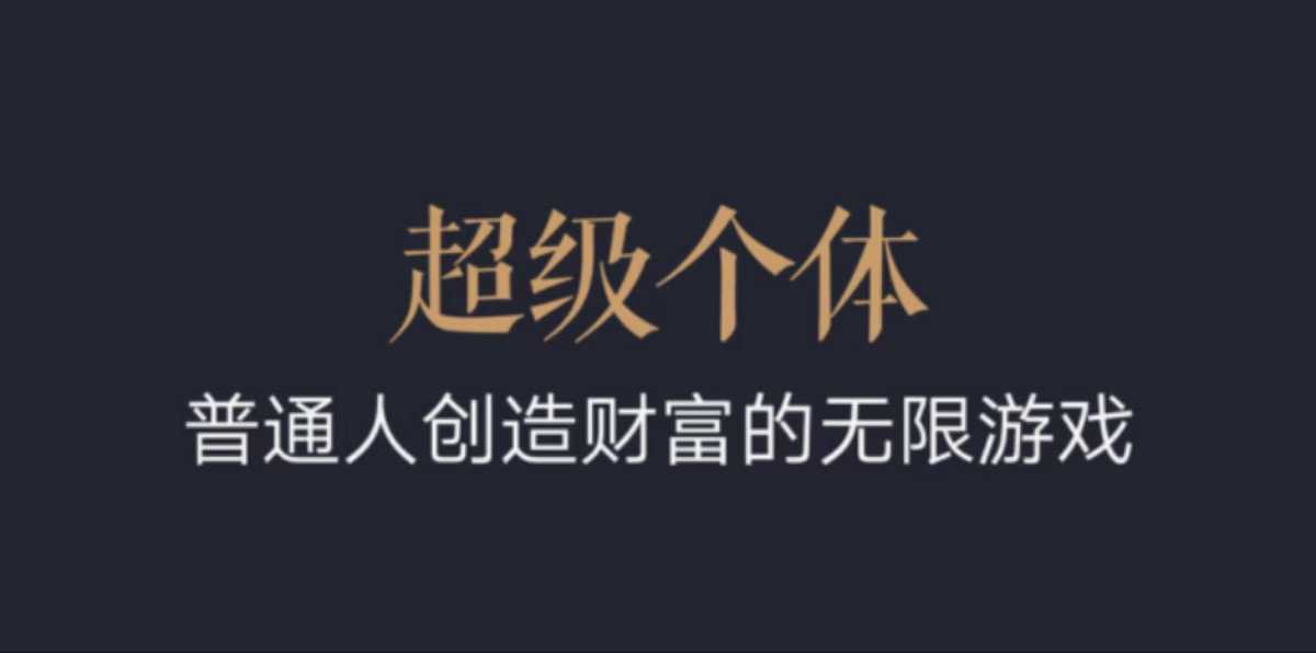 超级个体：2024-2025翻盘指南，普通人创造财富的无限游戏-温暖资源库