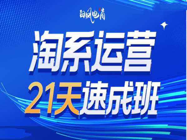 淘系运营21天速成班35期，年前最后一波和2025方向-温暖资源库