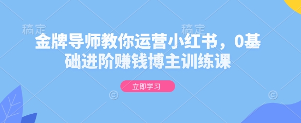 金牌导师教你运营小红书，0基础进阶赚钱博主训练课-温暖资源库