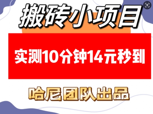 搬砖小项目，实测10分钟14元秒到，每天稳定几张(赠送必看稳定)-温暖资源库