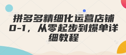 拼多多精细化运营店铺0-1，从零起步到爆单详细教程-温暖资源库