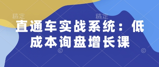 直通车实战系统：低成本询盘增长课，让个人通过技能实现升职加薪，让企业低成本获客，订单源源不断-温暖资源库
