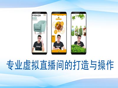 个人虚拟直播间的搭建与操作，专业虚拟直播间的打造与操作-温暖资源库