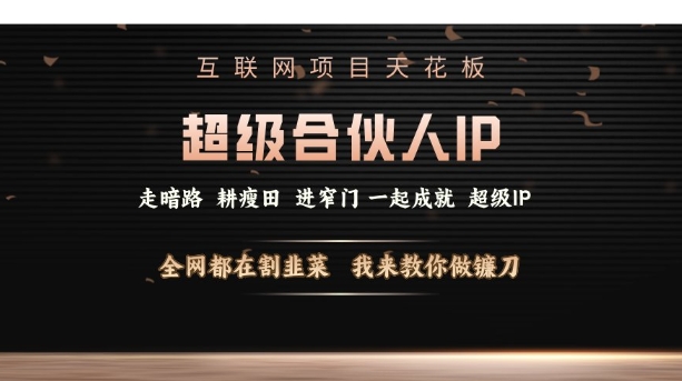 互联网项目天花板，超级合伙人IP，全网都在割韭菜，我来教你做镰刀【仅揭秘】-温暖资源库