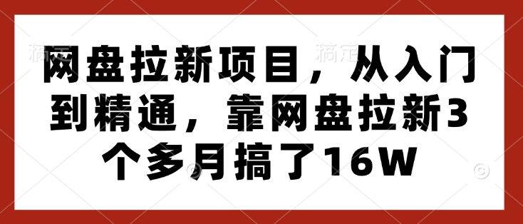 网盘拉新项目，从入门到精通，靠网盘拉新3个多月搞了16W-温暖资源库