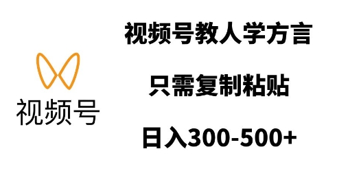 视频号教人学方言，只需复制粘贴，日入多张-温暖资源库