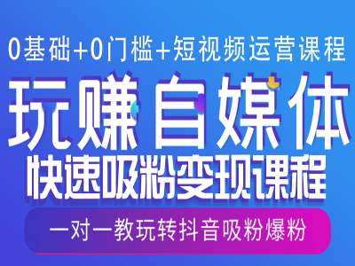 0基础+0门槛+短视频运营课程，玩赚自媒体快速吸粉变现课程，一对一教玩转抖音吸粉爆粉-温暖资源库