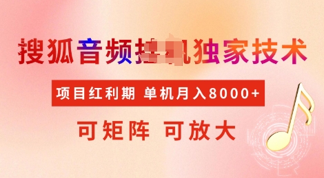 全网首发搜狐音频挂JI独家技术，项目红利期，可矩阵可放大，稳定月入8k【揭秘】-温暖资源库