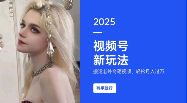 搬运老外奇葩视频，撸视频号分成计划收益，每天只需一小时，新手小白轻松月入过W-温暖资源库