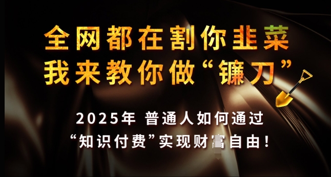 全网都在割你韭菜，我来教你做镰刀，2025年普通人如何通过 知识付费 实现财F自由【揭秘】-温暖资源库