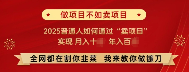 必看，做项目不如卖项目，2025普通人如何通过“卖项目”实现月入十个，年入百个-温暖资源库
