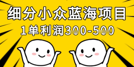 细分小众蓝海项目，一单利润3张，每月收入稳定过1w+-温暖资源库