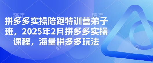 拼多多实操陪跑特训营弟子班，2025年2月拼多多实操课程，海量拼多多玩法-温暖资源库