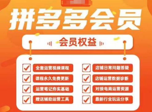 2025拼多多运营实战课，40节全流程教学，覆盖拼多多运营全链路-温暖资源库