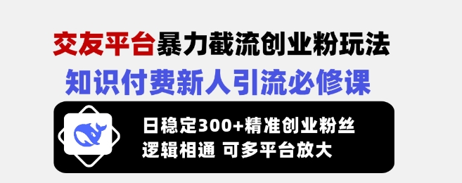 交友平台暴力截流创业粉玩法，知识付费新人引流必修课，日稳定300+精准创业粉丝，逻辑相通可多平台放大-温暖资源库