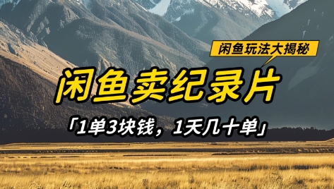 闲鱼卖纪录片1单3块钱，1天几十单，项目稳定有潜力-温暖资源库