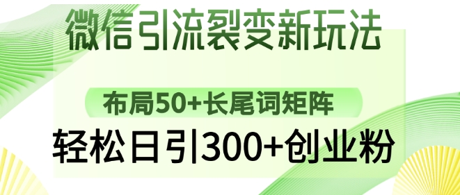 微信引流裂变新玩法：布局50+长尾词矩阵，轻松日引300+创业粉-温暖资源库