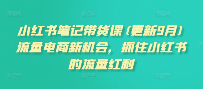 小红书笔记带货课(更新25年3月)流量电商新机会，抓住小红书的流量红利-温暖资源库