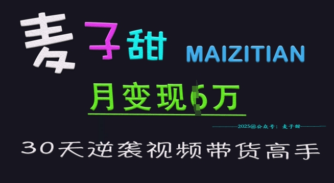 麦子甜30天逆袭视频带货高手，单月变现6W加特训营-温暖资源库