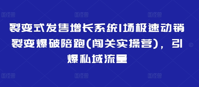 裂变式发售增长系统1场极速动销裂变爆破陪跑(闯关实操营)，引爆私域流量-温暖资源库