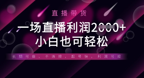 半无人直播带货，一场利润数张，适合所有平台玩法，小白也可轻松-温暖资源库