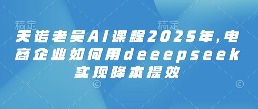 天诺老吴AI课程2025年，电商企业如何用deeepseek实现降本提效-温暖资源库