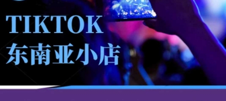 Tiktok东南亚跨境小店运营班，一门专业的TK小店运营培训课-温暖资源库